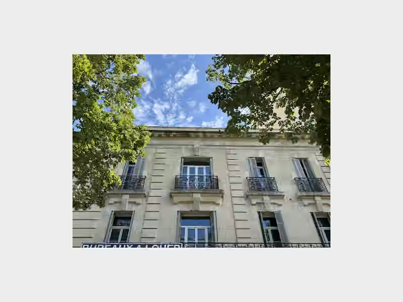 Hazzan David Avocat